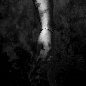 Fall Into You - Camylio