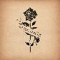 Thorns - Jelly Roll
