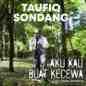Taufiq Sondang - Aku Kau Buat Kecewa