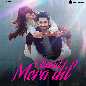 Chand Mera Dil (Original Motion Picture Soundtrack)