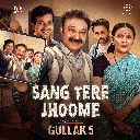 Sang Tere Jhoome