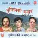 Dumre Hundai Pokhara Busaima 