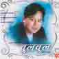 Bulbul