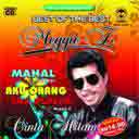 (JMT) Mahal (Versi 2009)
