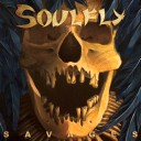 Soulfly
