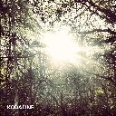 Kodaline