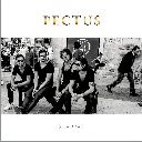 Pectus