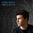 Shawn Mendes