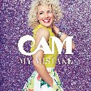Cam (INT)