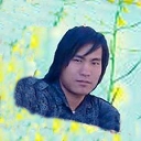 Milan Roka
