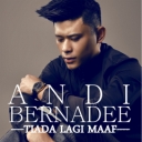 Andi Bernadee