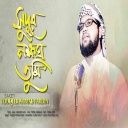 Touqeer Ahmad Fardin