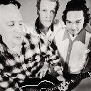 The Presidents Of The United States Of America