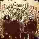 Black Stone Cherry